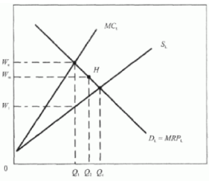 Establishment of employment and wages of firm-monopsonist