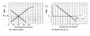 The equilibrium wage rate and employment- the market and the individual firm